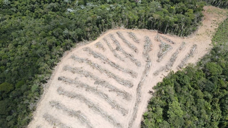 Foto: Reprodução/Secom Espírito Santo