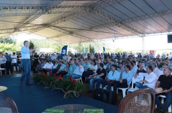 Mairinco de Pauda
