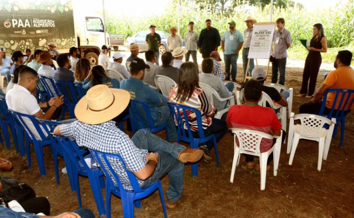Dia de Campo mostra custo benefício em Sistema de Integração Lavoura-Pecuária - Foto: Delfino Miranda/Governo do Tocantins
