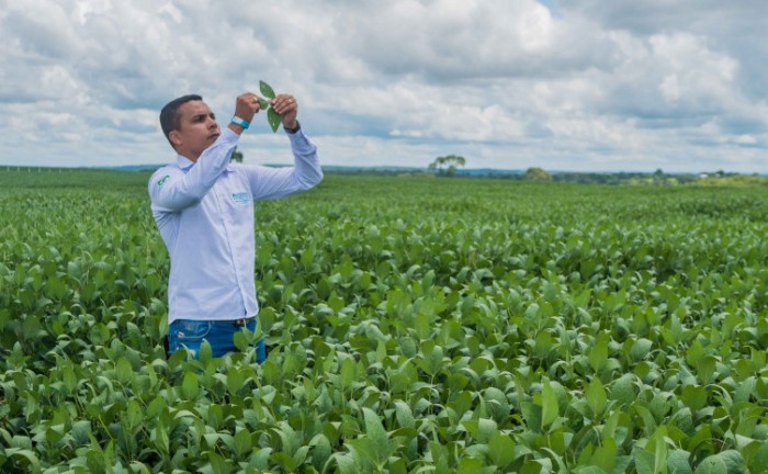 Adapec mantém o monitoramento de pragas nas lavouras de soja do Tocantins - Foto: Keven Lopes/Governo do Tocantins