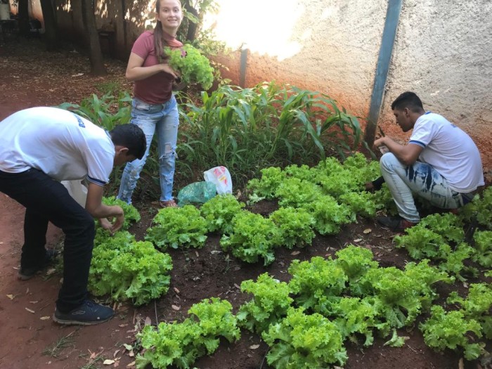 Foto: Reprodução/Secom Minas Gerais