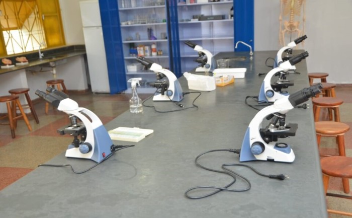 Foto: Reprodução/Secom Goiás