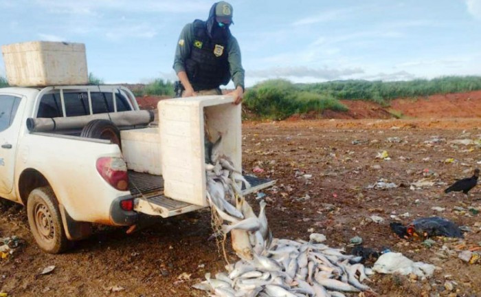 Pescado inadequado ao consumo humano foi descartado no aterro sanitário da Capital - Foto: Naturatins/Governo do Tocantins