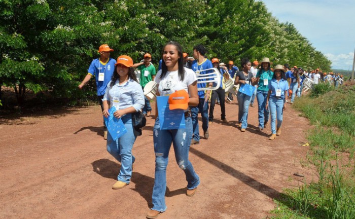 Ruraltins promove Dia de Campo de Fruticultura na Agrosudeste - Foto: Ruraltins/Governo do Tocantins