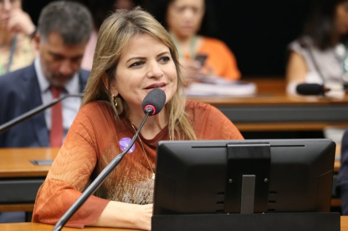Flávia Morais: todos os estados têm obras paradas - (Foto: Billy Boss/Câmara dos Deputados)