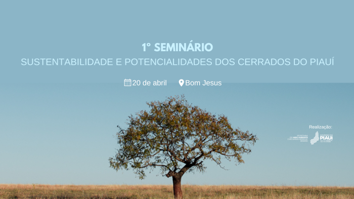 Foto: Reprodução/Secom Piauí