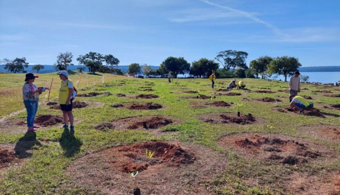Ação é aberta à participação da sociedade em geral | Foto: Divulgação/Brasília Ambiental