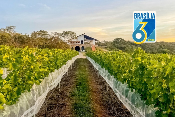 Agência Brasília