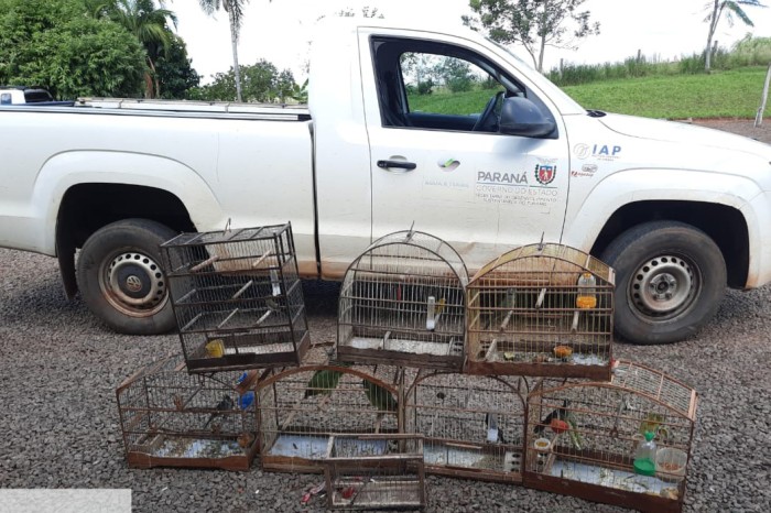 Foto: IAT