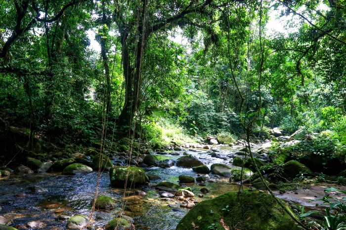 © Tania Rego/Agência Brasil