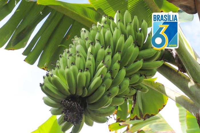 Agência Brasília