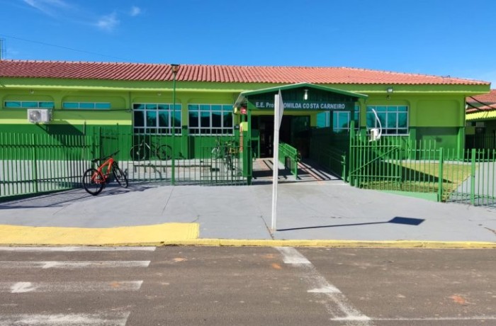 Thais Davis e arquivo escolar