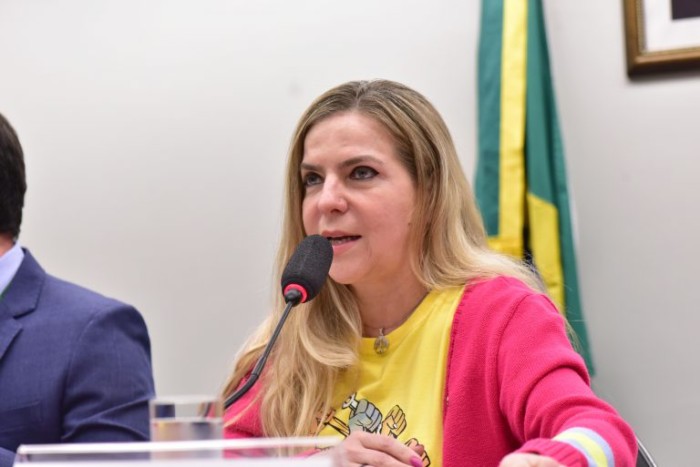 Luizianne: não-repetição das práticas do regime militar e aperfeiçoamento da democracia - (Foto: Zeca Ribeiro / Câmara dos Deputados)