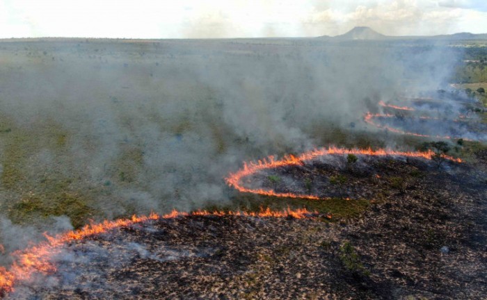Formação de mosaicos de áreas queimadas na vegetação cria barreiras naturais à propagação de incêndios - Foto: Naturatins/Governo do Tocantins
