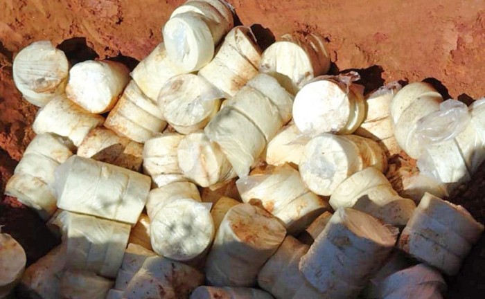 Queijos estavam impróprios para consumo e foram descartados em aterro sanitário de Gurupi - Foto: Adapec/Governo do Tocantins