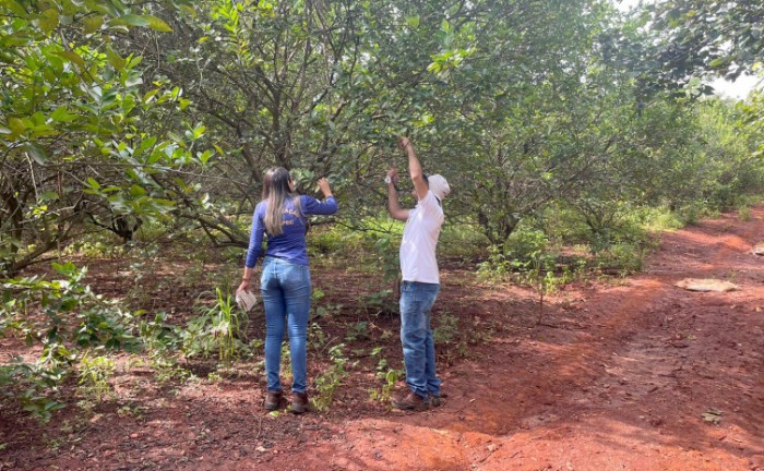 Técnicos da Adapec durante monitoramento em uma propriedade rural no município de Tocantinópolis - Foto: Adapec/Governo do Tocantins