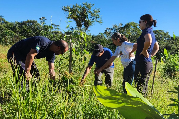 Foto: Pierpaolo Nota/Portos do Paraná