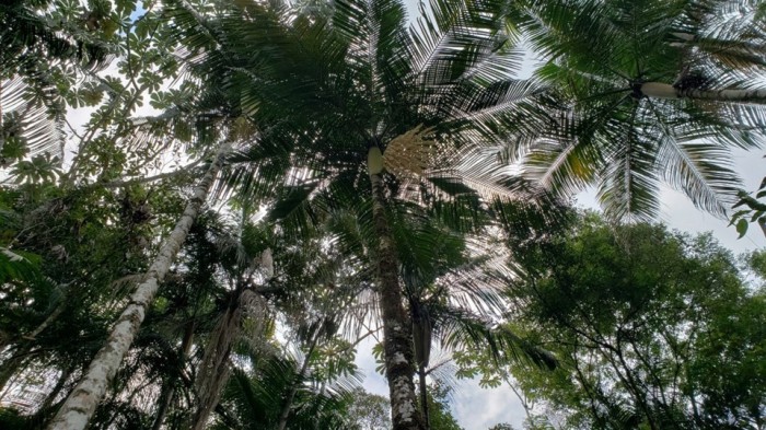 Foto: Reprodução/Secom Espírito Santo