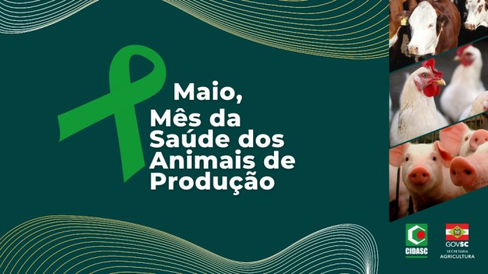 Foto: Reprodução/Secom SC