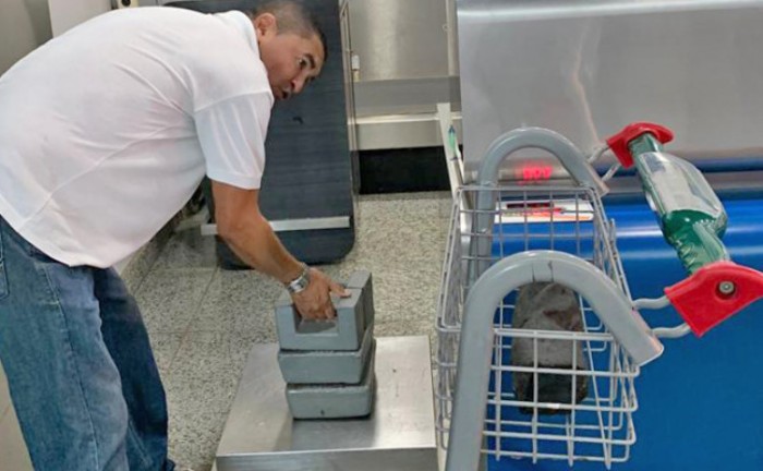 Para a ação, a equipe utilizou as cargas (bagagens) de passageiros para verificar a fidelidade do peso da balança - Foto: Brenda Ramos/Governo do Tocantins
