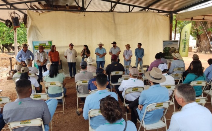 Dia de Campo em propriedade rural em Aliança apresenta resultados da integração lavoura-pecuária - Foto: Ruraltins/Governo do Tocantins
