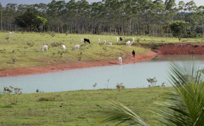 Mais de 88% da área do Estado já está cadastrada e o sistema soma 85.730 registros - Foto: Marcel de Paula/Governo do Tocantins