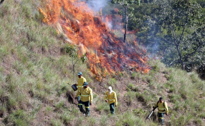 Brigadistas executam queimas prescritas em topos de morro na RPPN Morro do Segredo - Foto: Fernando Alves/Governo do Tocantins