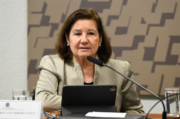Para Maria Luiza Viotti, Brasil e Estados Unidos 