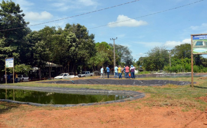 Na Agrotins, Ruraltins terá vitrines agrotecnológicas das cadeias produtivas voltadas para a agricultura familiar - Foto: Delfino Miranda/Governo do Tocantins