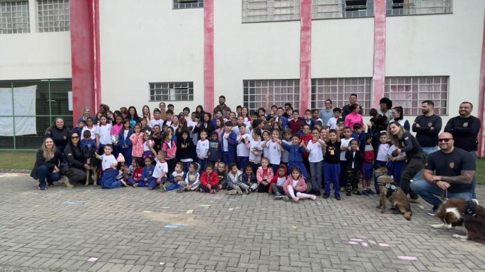 Foto: Reprodução/Secom SC