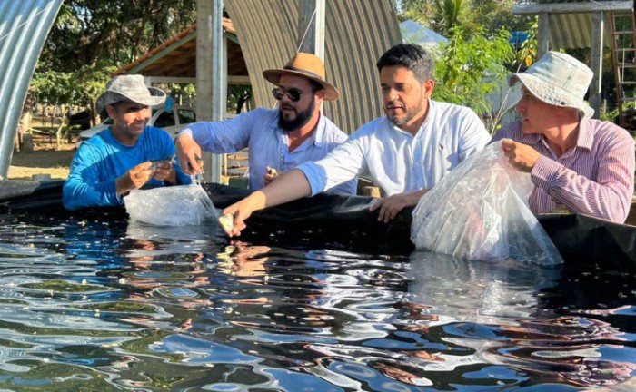 Presidente Washington Ayres acompanhou momento da soltura dos peixes nos tanques - Foto: Ruraltins/Governo do Tocantins