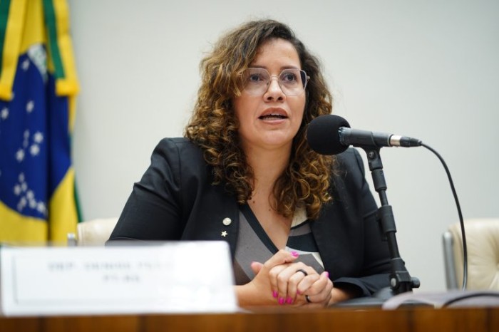 Denise Pessôa propôs a realização do debate na Câmara - (Foto: Pablo Valadares/Câmara dos Deputados)