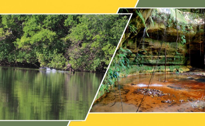 APAs foram criadas para assegurar o uso sustentável dos recursos naturais associados à conservação e preservação ambiental - Foto: Fernando Alves/Governo do Tocantins