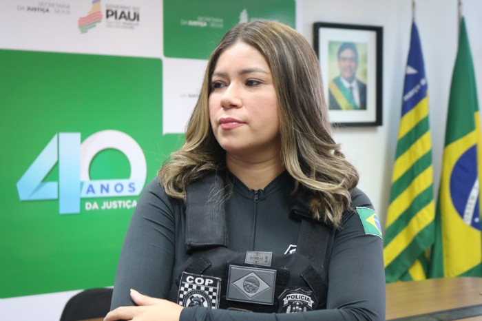Foto: Reprodução/Secom Piauí