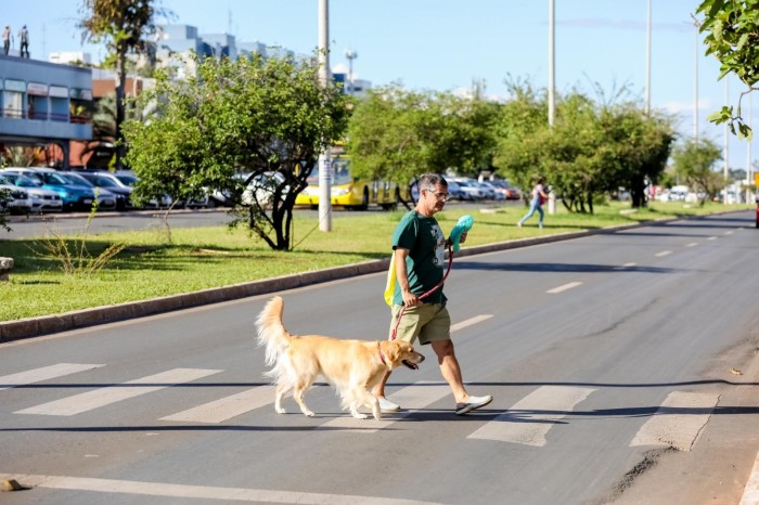 Foto: Joel Rodrigues/Agência Brasília