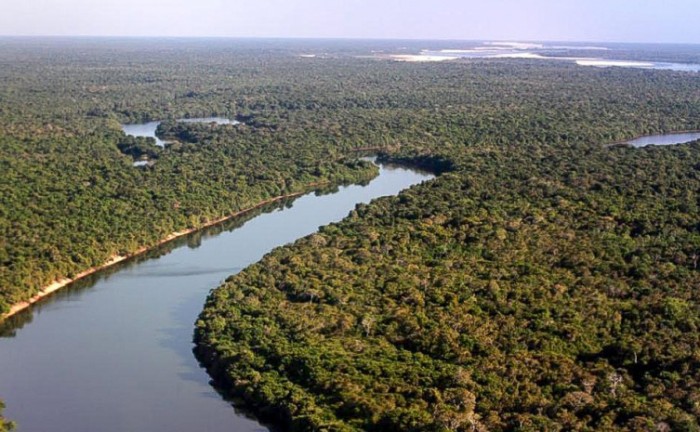 No Dia da Proteção das Florestas, Governo do Tocantins destaca a importância da preservação e o conjunto de ações ambientais desenvolvidas pelo Estado - Foto: Semarh/Governo do Tocantins