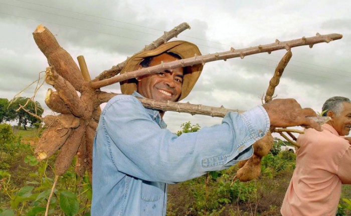Resultados e tecnologias da boa produtividade foram apresentados durante Dia de Campo - Foto: Ruraltins/Governo do Tocantins