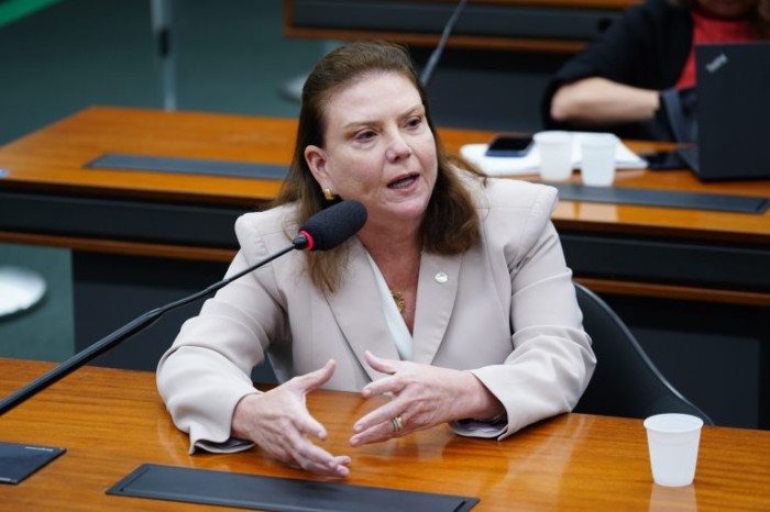 A autora da proposta, deputada Fernanda Pessoa - (Foto: Pablo Valadares/Câmara dos Deputados)