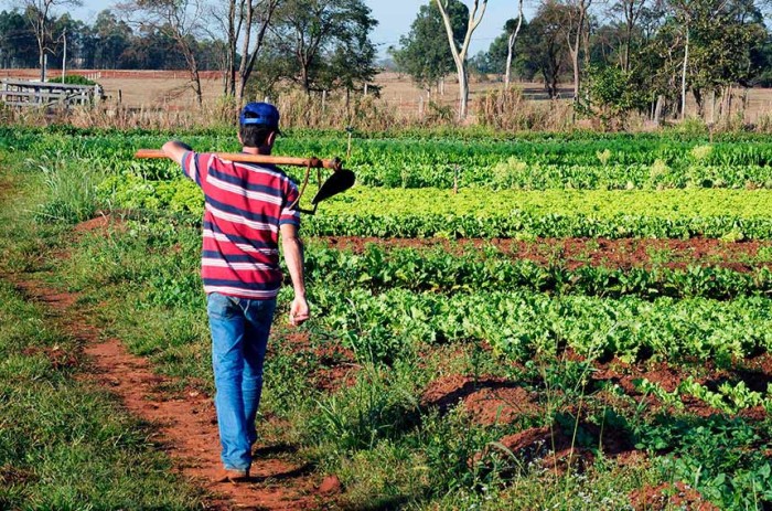 Sempre que possível, ao menos 30% dos alimentos adquiridos pelo governo terão origem na agricultura familiar - Foto: Jorge Etecheber/SESC-SP