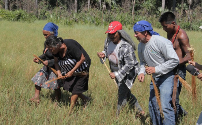Licença é importante para manutenção da conservação e preservação do capim-dourado e do buriti - Foto: Fernando Alves/Governo do Tocantins