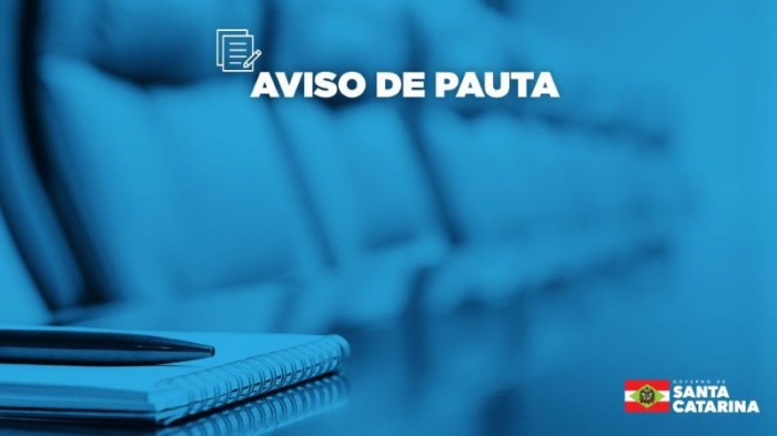 Foto: Reprodução/Secom SC