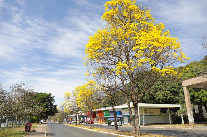 Agência Brasília