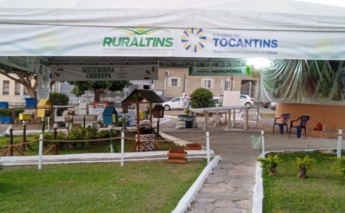 Feira da Agricultura Familiar de Arraias ocorre nesta terça-feira 1º de agosto - Foto: Ruraltins/Governo do Tocantins