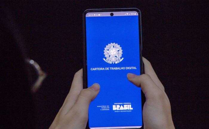 Interessados em ocupar as vagas precisam atualizar seus dados no sistema do Sine - Foto: Carlessandro Souza/Governo do Tocantins