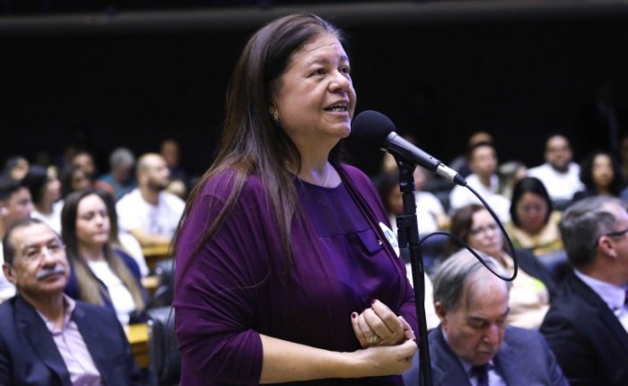 Laura Carneiro votou pela constitucionalidade da proposta - (Foto: Vinicius Loures/Câmara dos Deputados)