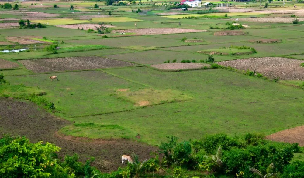 Documento comprova a regularidade cadastral do imóvel rural - Foto: Banco de Imagens
