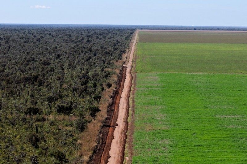 Um dos pontos sensíveis da proposta é possiblidade de dispensa de licenciamento para atividades potencialmente impactantes, como a manutenção em estradas - Adriano Gambarini/WWF-Brasil