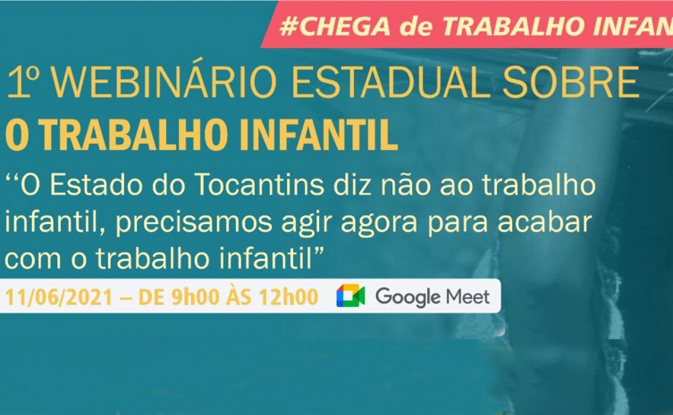 Webnário ocorre nesta sexta-feira, 11, pelo Google Meet - Foto: Setas/Governo do Tocantins