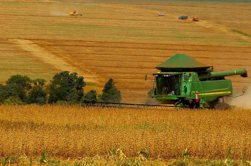 Os Fundos de Investimento nas Cadeias Produtivas Agroindustriais (Fiagro) são um instrumento para que o agronegócio possa captar recursos no mercado financeiro - Jaelson Lucas/AEN