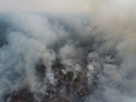 PF deflagra operação contra incêndio, desmatamento ilegal e usurpação de terras no AM - (Foto: REUTERS/Ueslei Marcelino-12/08/2020)